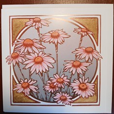 Greetings Card - Echinacea