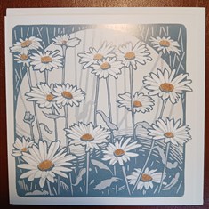 Greetings Card - Daisies