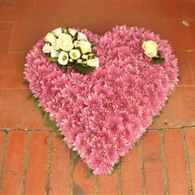 fwthumbDSC05715.jpg